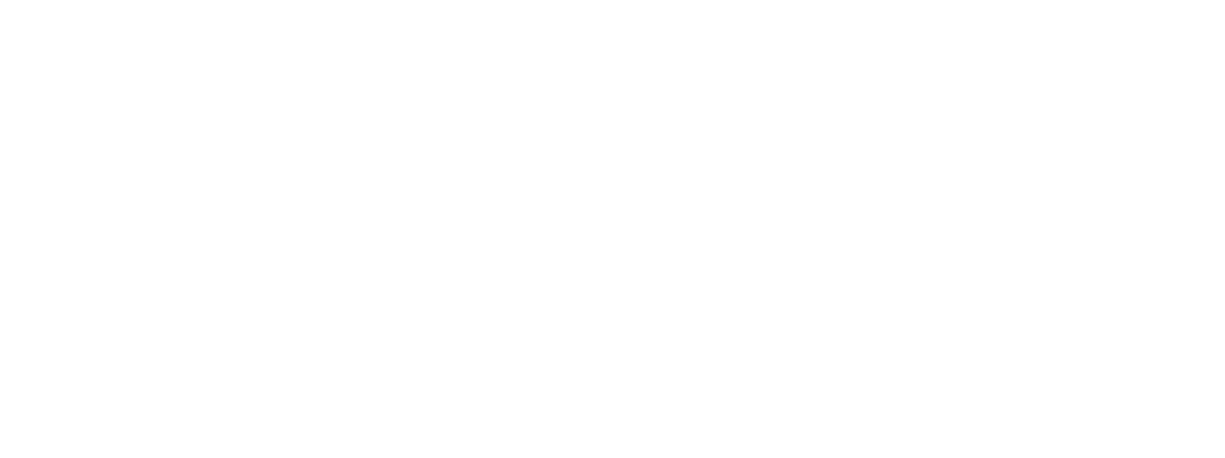 Echo White Text Logo